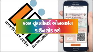 કલર ચૂંટણીકાર્ડ ઓનલાઈન ડાઉનલોડ કરો @nvsp.in