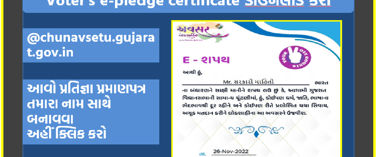 Voter's e-pledge