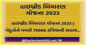 Gujarat Hybrid Biyaran Yojana 2023 : હાઇબ્રીડ બિયારણ યોજના 2023 | ખેડૂતોને મળશે 75000 રૂપિયાની સહાય...