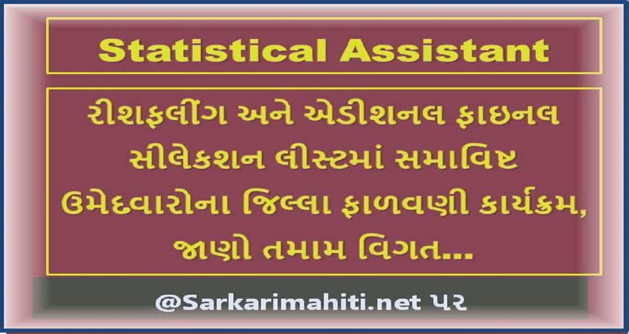 Statistical Assistant